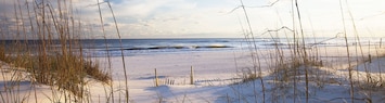 Beautiful White Sandy Beaches